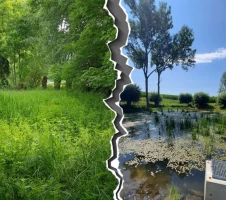 Projekte der Natura 2000 Station Osterland zur Sanierung von Kleingewässern im Altenburger Land