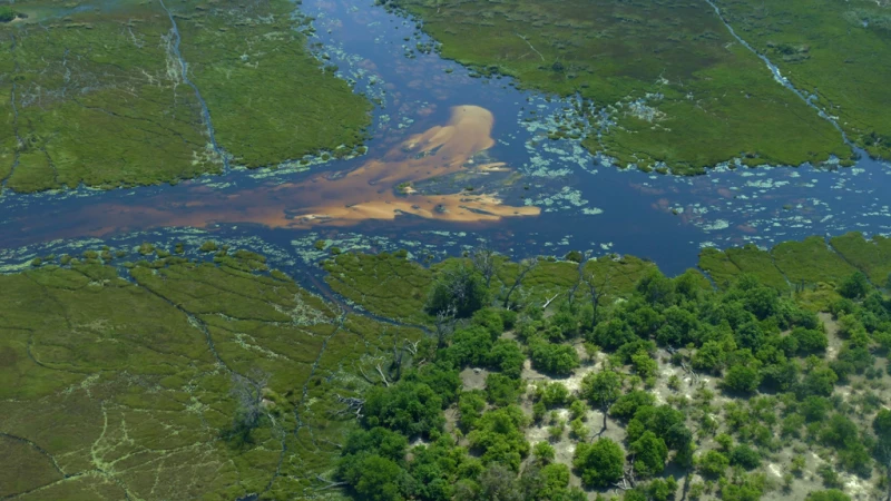 Botswana … Simbabwe … Namibia – Erlebnisse rund um das Okavangodelta 2019 | Das UNESCO Weltnaturerbe Okavangodelta ist eines größten und artenreichsten Feuchtgebiete Afrikas.