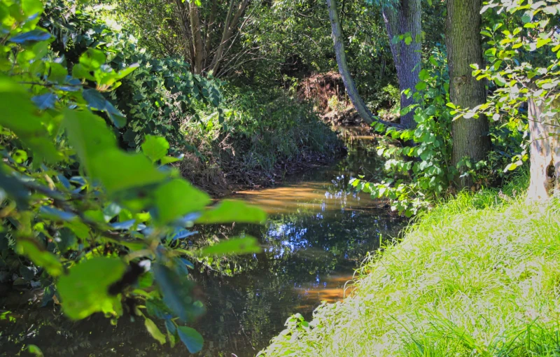 Untere Wasserbehörde fordert: Uferbereich der Sprotte bis 30.06.2026 säubern | Sprotte