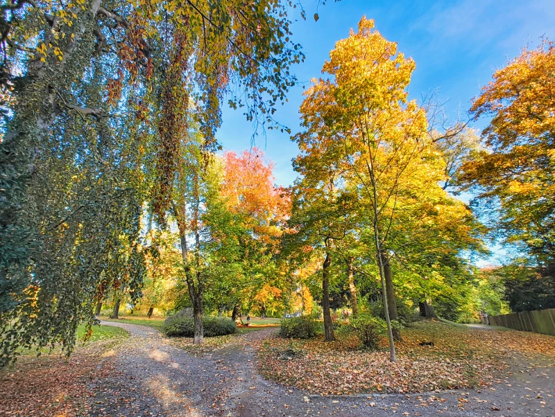 Pflegearbeiten in der Stadt Altenburg beginnen  | Schmidtser Park in Altenburg