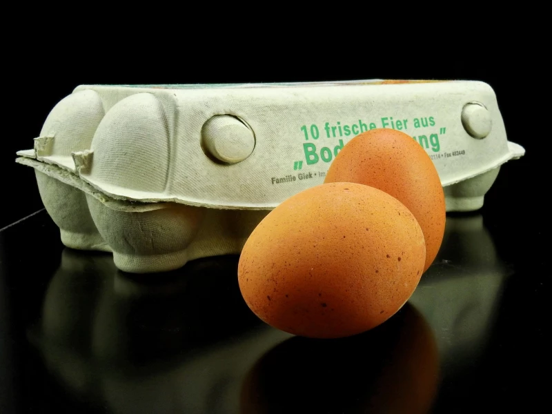 Siegel-Wirrwarr auf Eierkartons | 