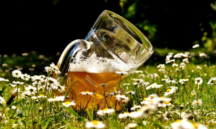VorschauBild - Das „Bierchen“ zu viel am Vatertag