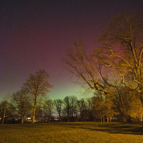 Polarlichter am 19.01.2026 über Altenburg