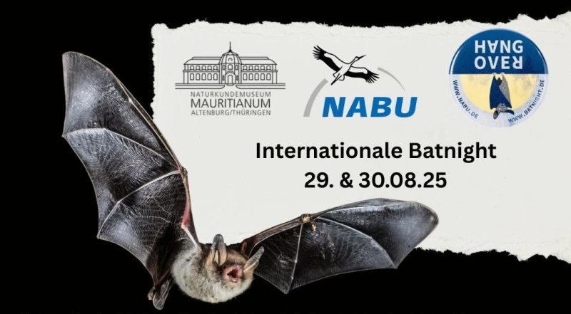 Internationale Batnight auch in Altenburg | 