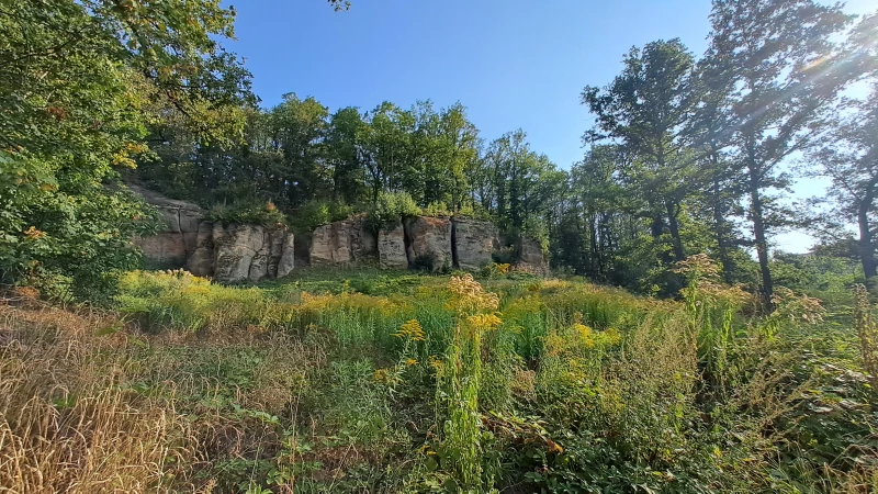 Der Landschaftspflegeverband Altenburger Land begeht sein 30-jähriges Jubiläum | Eine regelmäßige Entbuschung der Bastei unterhalb des Pfefferbergs in Schmölln lässt das Areal neu erstrahlen.