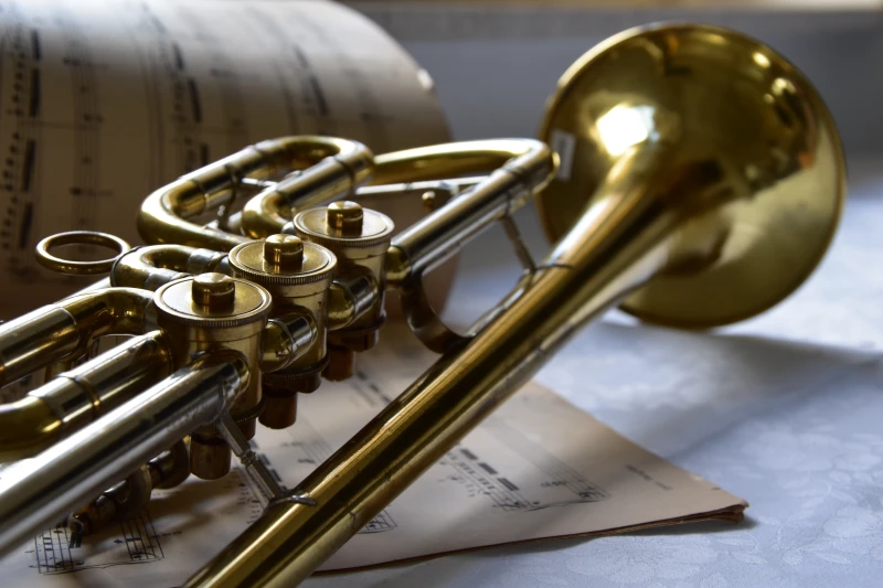 Blasorchester Altenburg sucht ehemalige Musiker zum 60. Jubiläum | 