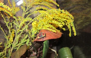 Originelle Valentinsaktionen im Altenburger Inselzoo