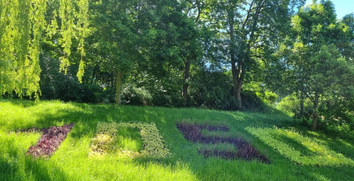 VorschauBild - Jubiläum sichtbar: „1050“-Bepflanzung am Großen Teich erblüht