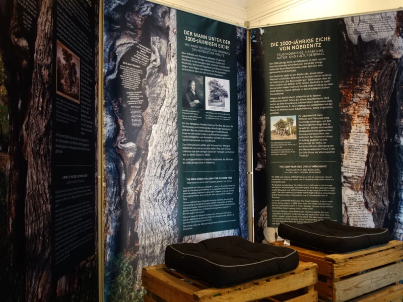 Ausstellung „Der Mann unter der 1000-jährigen Eiche“ | Ausstellung Baumdenkmale
