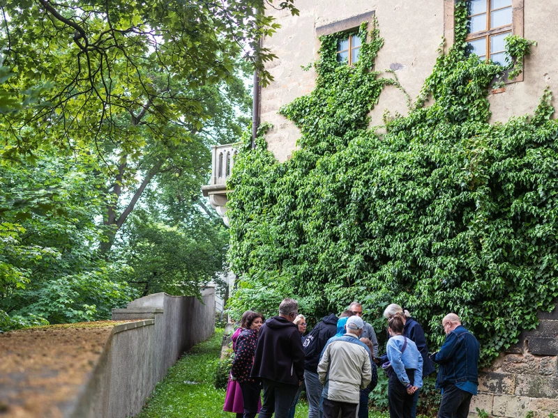 Führungen am Wochenende: Zwischen den Mauern & „Meine Tage sind leichter dahingeflogen…“ | Zwingerbereich des Residenzschlosses Altenburg