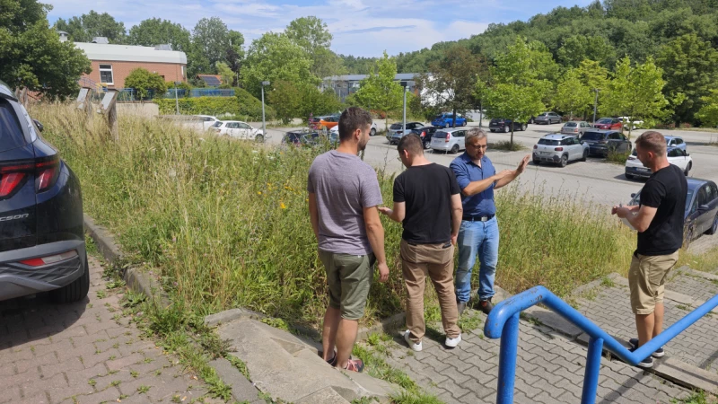 Blühende Feldraine gegen das Aussterben von Insekten | Vertreter der Natura 2000-Station „Osterland“ sowie Bauamtsleiter Felix Krämer und Bürgermeister Sven Schrade begutachten die Blühwiese am Finkenweg.