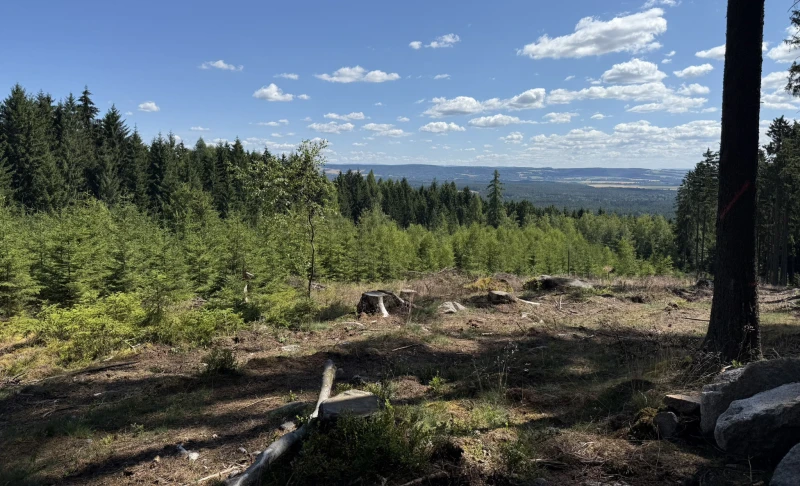 Geführte DAV-Wanderung: Rundtour im südlichen Vogtland | 