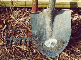 Projekt „Lernort Bauernhof“ soll auf ganz Thüringen ausgeweitet werden – Förderaufruf des Landwirtschaftsministeriums