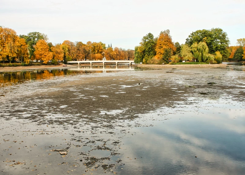 Großer Teich in Altenburg wird abgelassen | 
