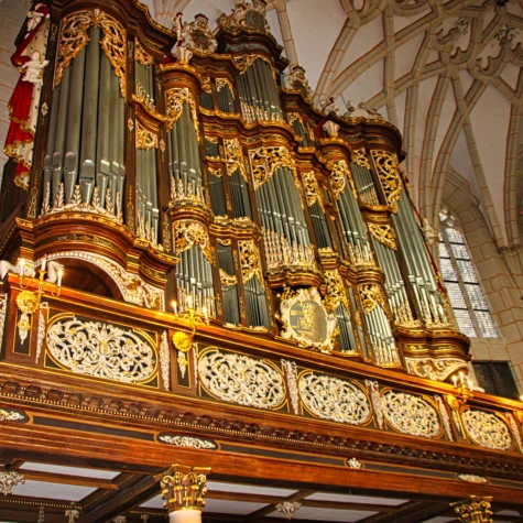 VorschauBild - Konzert | 11. Bach-Orgelvesper